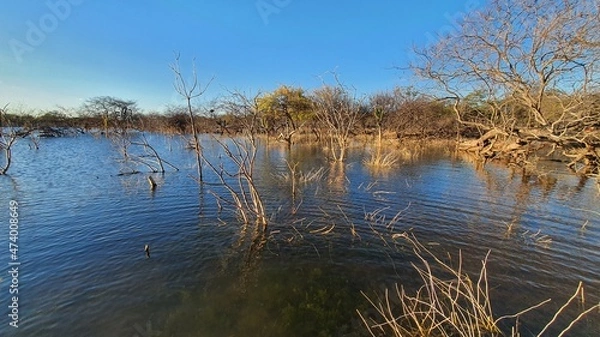 Obraz reflection in the lake