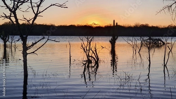 Obraz sunset on the lake