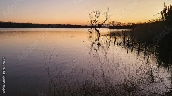 Obraz sunset on the lake