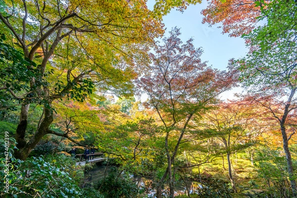 Fototapeta 圓光寺