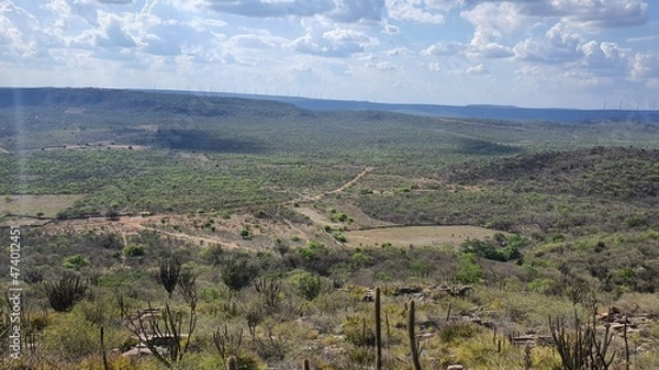 Fototapeta view of the mountains