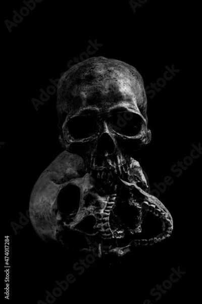 Obraz Human skeleton skull head isolated on black