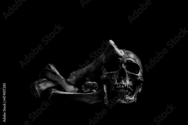 Obraz Human skeleton skull head isolated on black