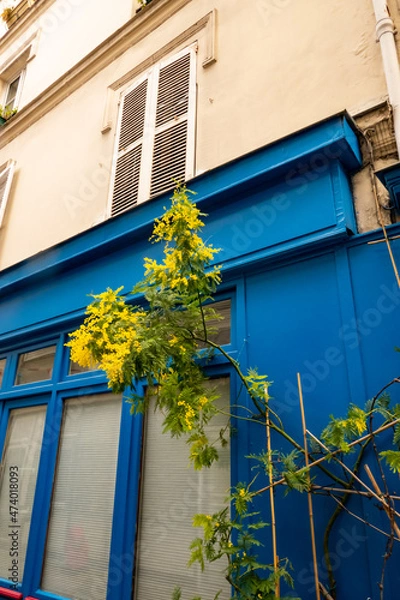 Obraz Batignolles Paris