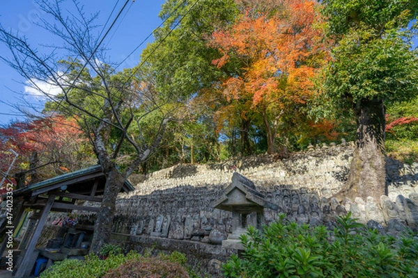 Fototapeta 信貴山