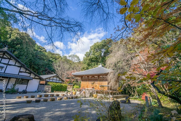 Fototapeta 竹林寺