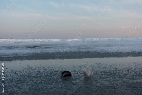 Obraz winter at the beach
