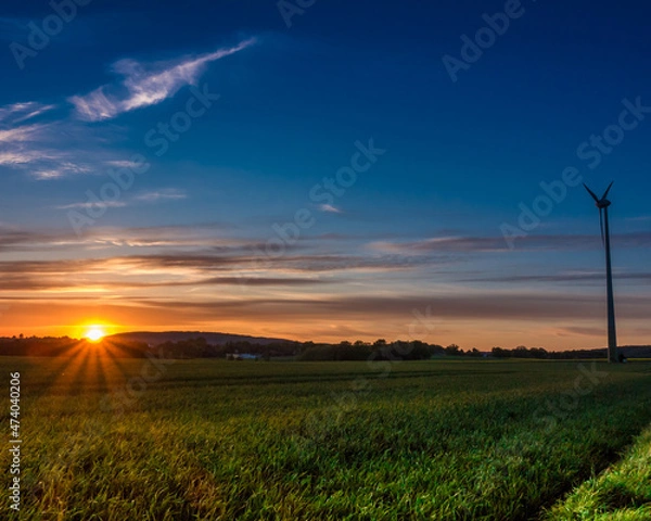 Obraz sunset in the field