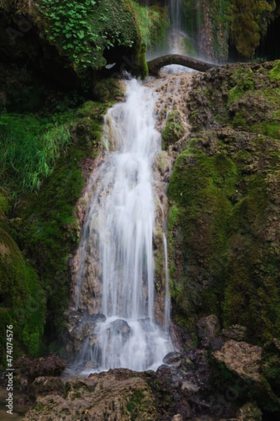 Obraz waterfall in the forest