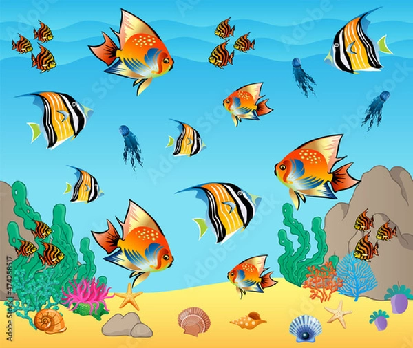 Fototapeta Underwater panorama. Sea underwater, cartoon fish swimming in the ocean, deep coral reef and sand, panoramic vector illustration background