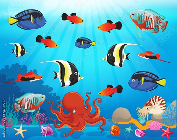 Fototapeta Underwater panorama. Sea underwater, cartoon fish swimming in the ocean, deep coral reef and sand, panoramic vector illustration background