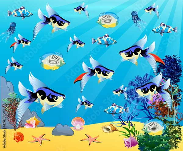 Fototapeta Underwater panorama. Sea underwater, cartoon fish swimming in the ocean, deep coral reef and sand, panoramic vector illustration background
