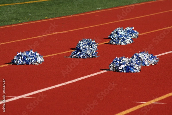 Fototapeta Cheerleader pom poms