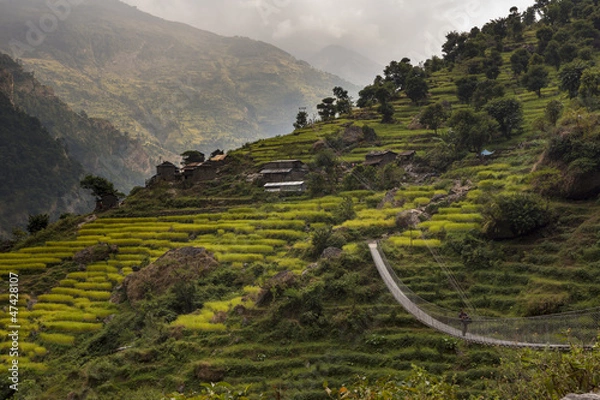 Obraz Suspension bridge Manaslu