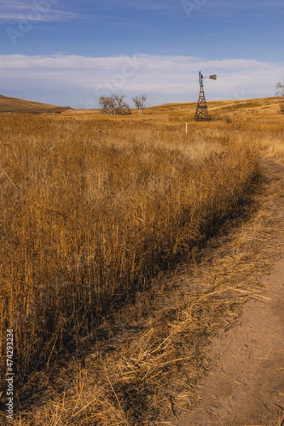 Fototapeta path leading to a windmill in the middle of a field