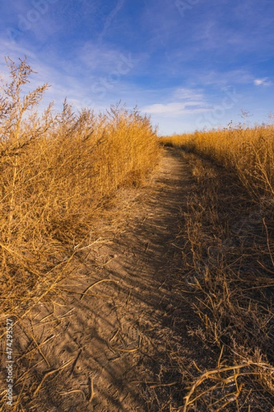 Fototapeta Path through the plains