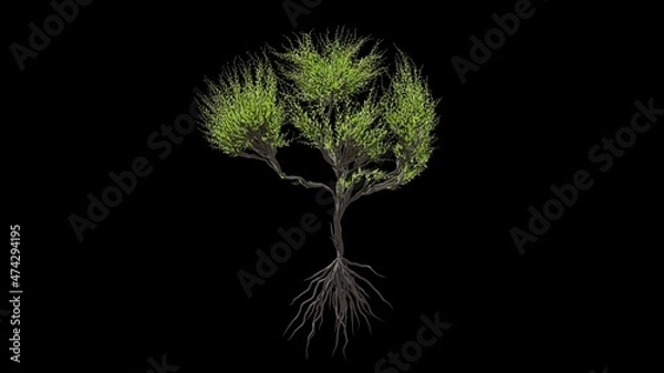 Obraz Tree in a shape of a human brain. Seasonal transition on black background. Eco Concept.
