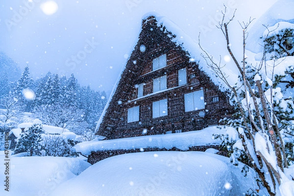 Fototapeta ゆきんこが出てきそうな、白川郷の降雪。