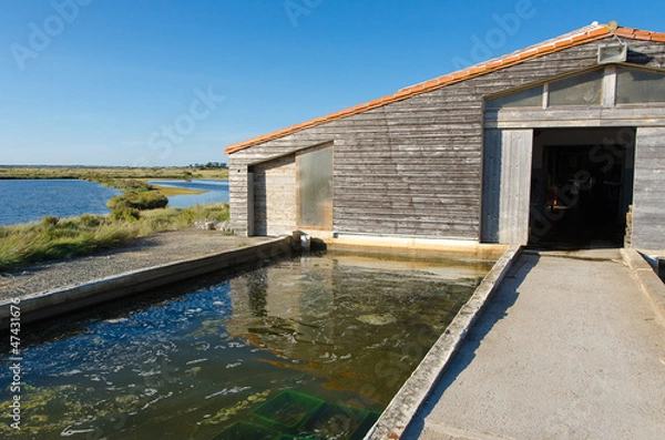 Obraz Ostréiculture