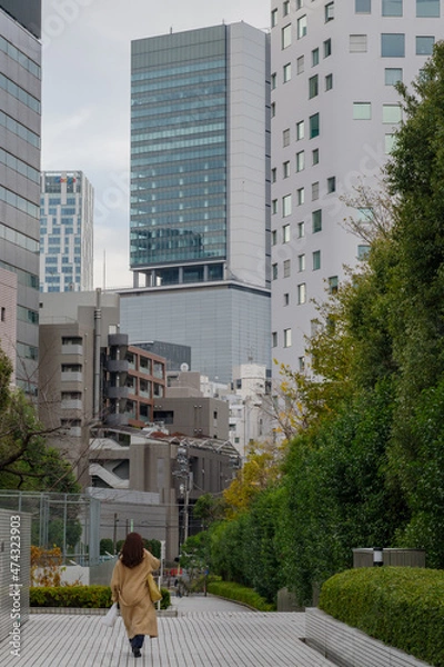 Fototapeta 渋谷駅方面を望む　神宮前5丁目、渋谷区、東京、日本