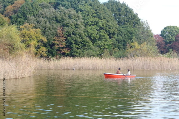 Obraz 手漕ぎボート デート 昭和記念公園
