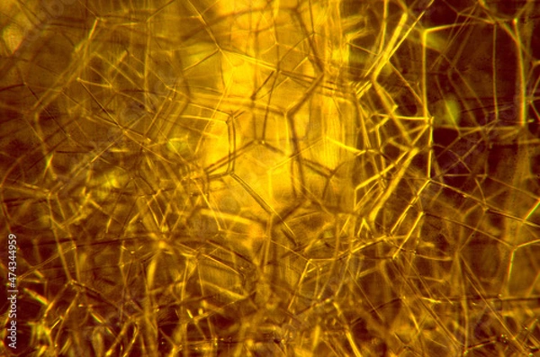 Obraz Yellow background with chaotic hexagon lines