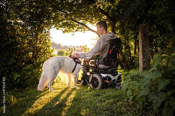Obraz Man with disability with his service dog using electric wheelchair.