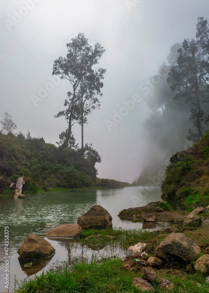 Fototapeta fog on the river