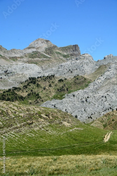 Obraz La Mesa - La Table - 04