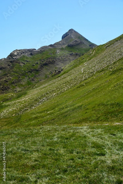 Obraz Petrechema - 11