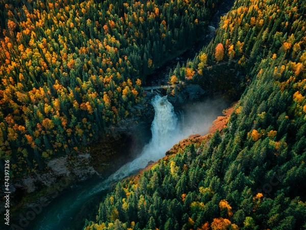 Fototapeta Hällingsåfallet waterfall in autumn forest near Strömsund in Jämtland in Sweden from above.