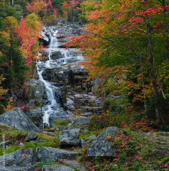 Obraz Beautiful cascade and fall foliage.