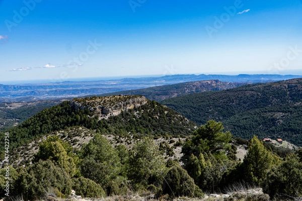Fototapeta Mountain with rocks and threes