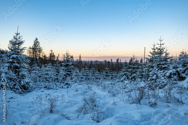 Obraz Torfhaus, Harz