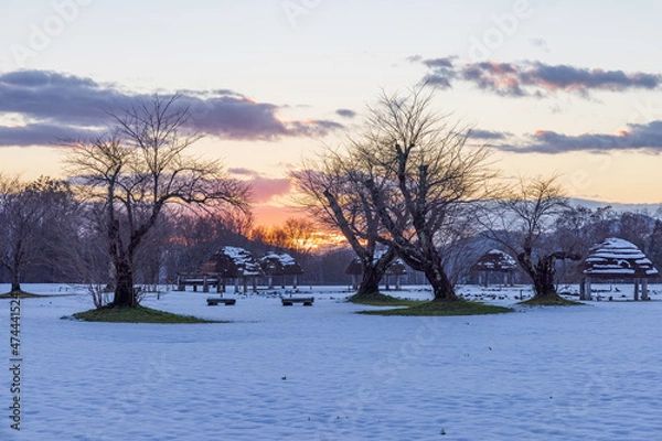 Obraz Towada in early winter