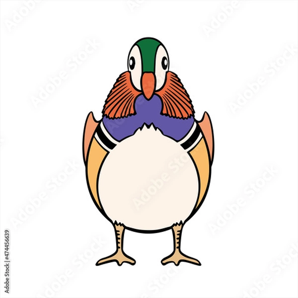 Obraz Mandarin Duck