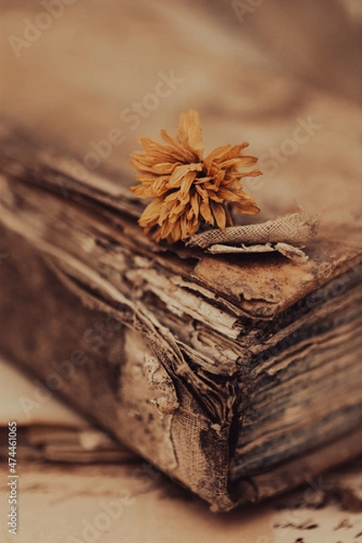 Fototapeta Vecchio libro e un fiore secco