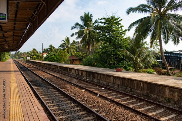 Fototapeta Railway station with palm trees in a tropical country.
