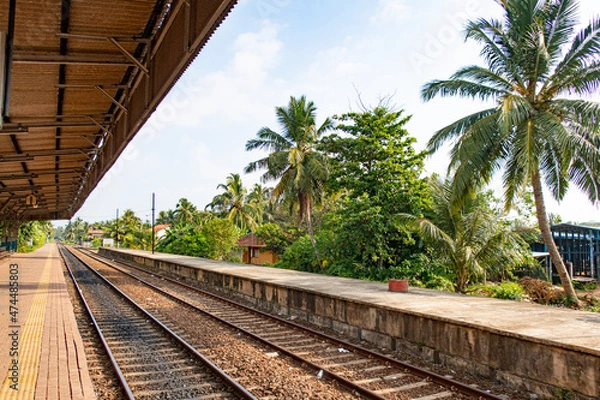 Fototapeta Railway station with palm trees in a tropical country.