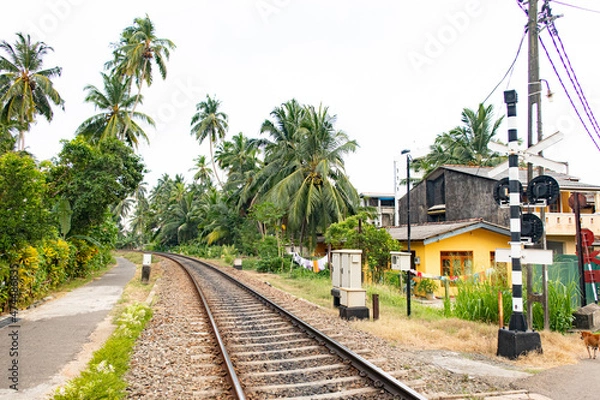 Fototapeta Railway station with palm trees in a tropical country.