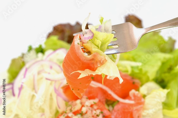 Obraz サーモンサラダ