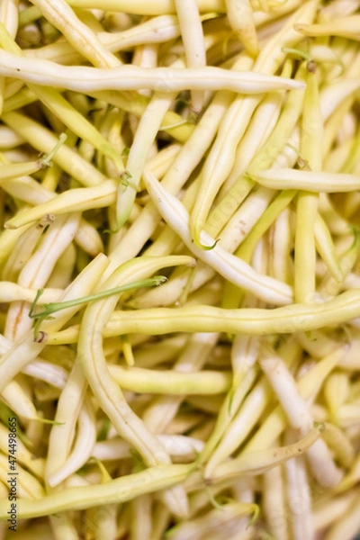 Fototapeta Background from yellow bean string. Close up