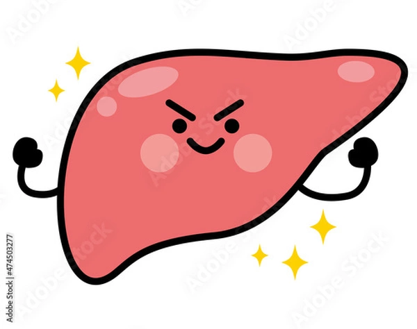 Obraz 肝臓　キャラクター　健康