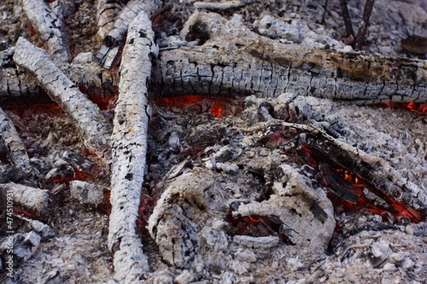 Obraz fire in the forest