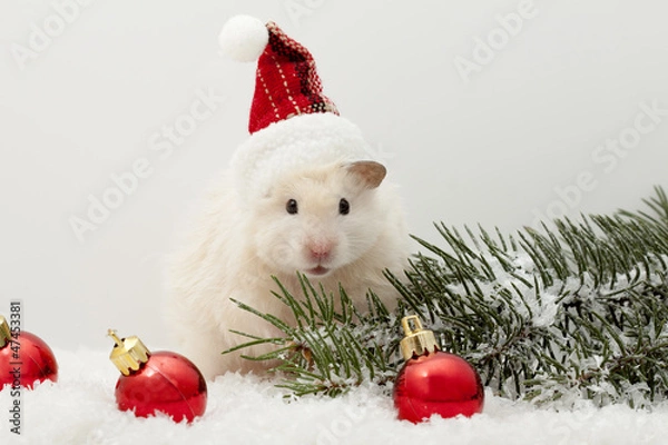 Fototapeta New year's eve hamster with red balloons and the Christmas tree