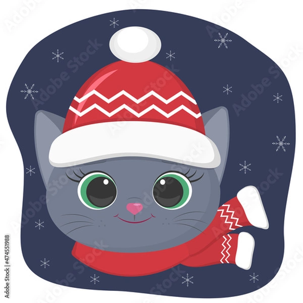 Obraz A cute kitten of the British breed is dressed in a hat and a scarf in winter. Against the background of the night sky and snowflakes.