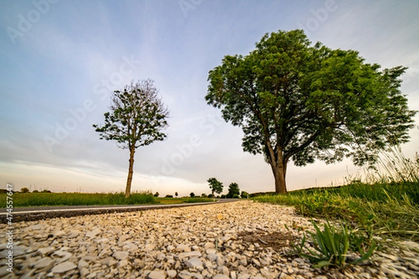 Obraz On the Road again