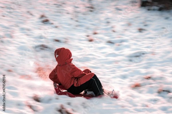 Obraz boy sledding