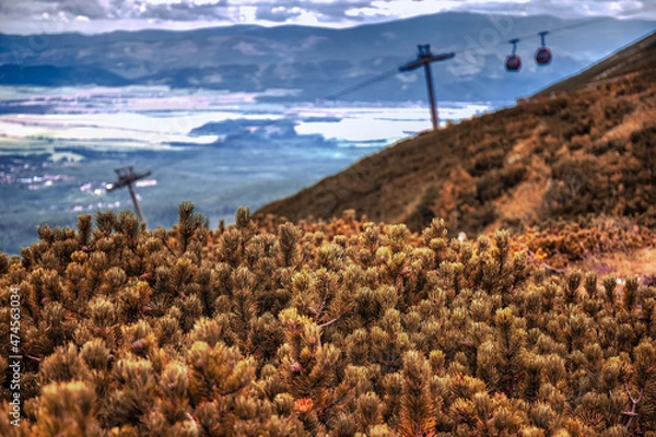 Obraz cabin train in moutains