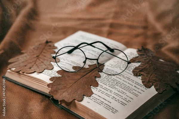 Obraz old book and glasses